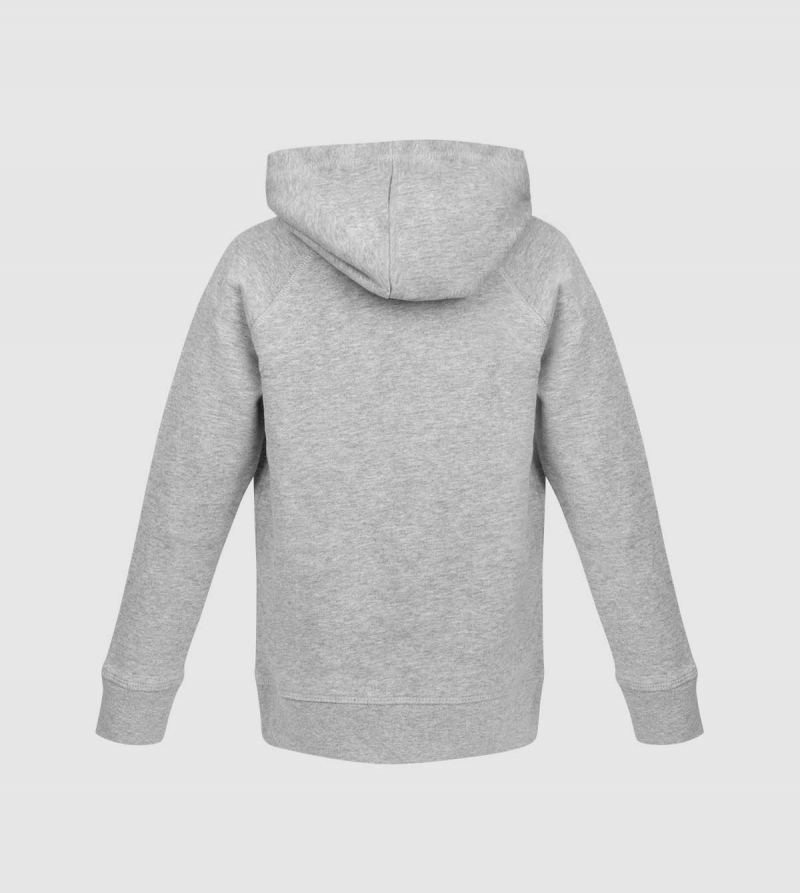Sudadera con Capucha IE University Niños de color gris back