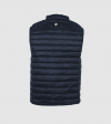 IE Vest of Primaloft. Navy color back