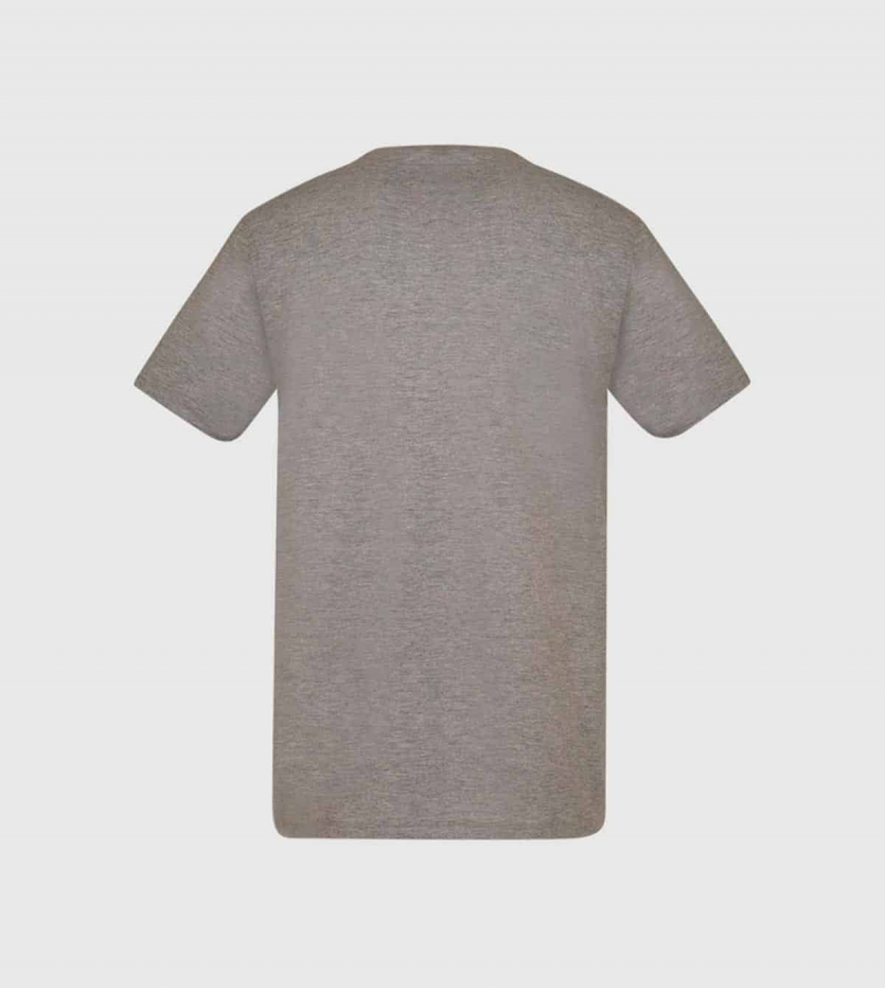 IE Alumni University Unisex T-shirt. Grey color back