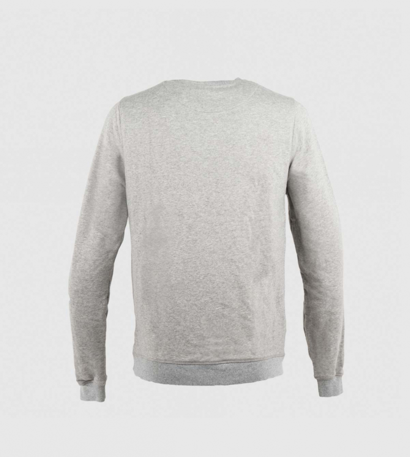 IE University Swearshirt. Grey color back