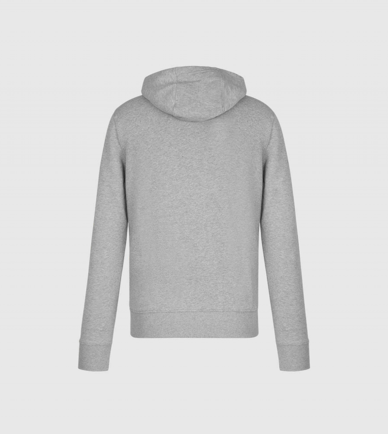 Sudadera con Capucha IE Law de color gris back
