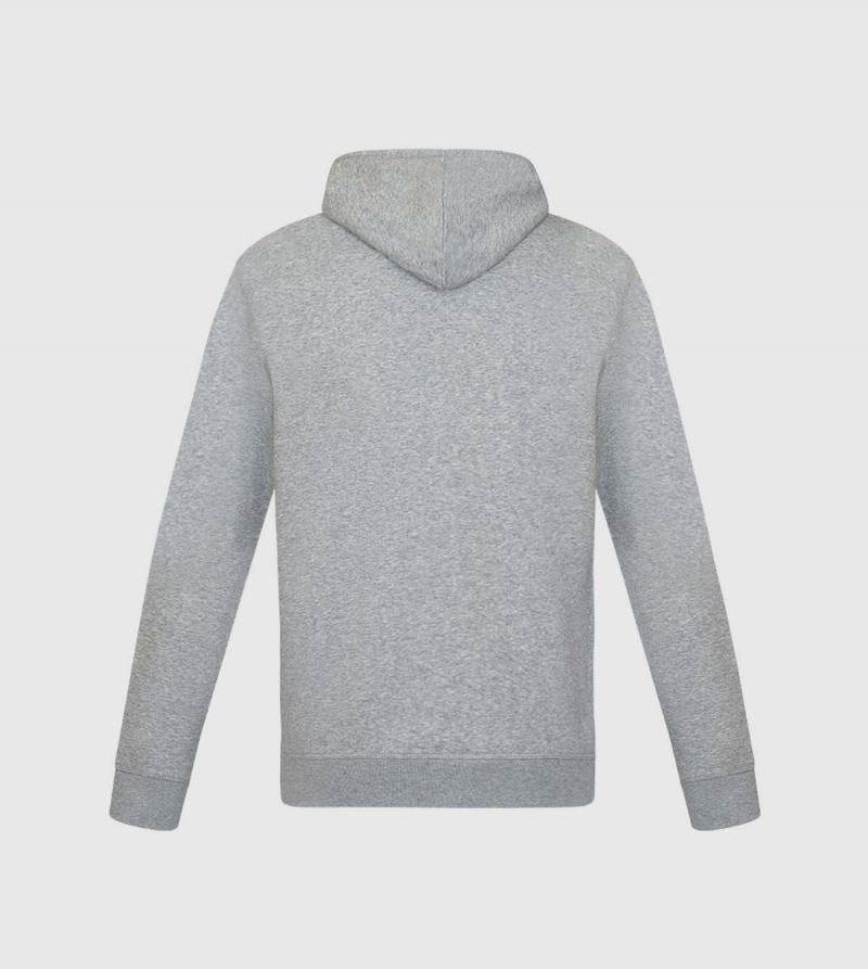 Spencer IE University Hoodie. Grey color back